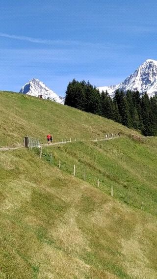 MÜRREN! Auch im Sommer wunderschön. Die atemberaubenden Aussichten auf Eiger, Mönch und Jungfrau (4158m) und der Duft nach frischem Heu ...

MÜRREN!! Also beautiful in summer, breathtaking views to the mountains Eiger, Mönch and Jungfrau (13.642 ft) and the sweet scent of haymaking ..

#berneroberland #mürren #muerren #carpediem #alpen #lifeisgood #sheisnotlost # toadyiseverythingyouhave #lebenimjetzt