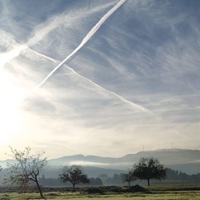 MORNING WALK
Lange nicht gemacht aber immer so wohltuend 🙂

Übrigens ist es wissenschaftlich erwiesen, dass einem die besten Ideen beim Gehen kommen. Beethoven beispielsweise ging nie ohne Papier und Stift auf seine Spaziergänge ✍️🎼

#gutenmorgen #spazieren #morningwalk #gutelaune #inspiration #weinlandbreisgau