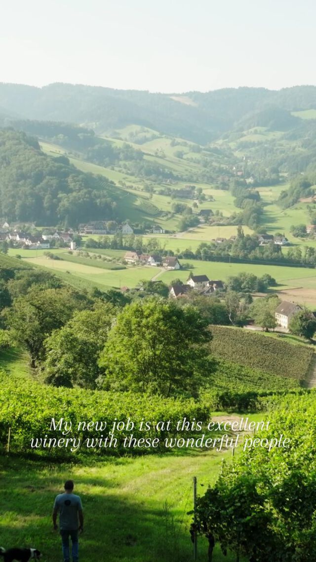 HABE NEUEN JOB in einem hervorragenden Weingut mit wunderbaren Menschen 😍😄🍷🥂

Anlässlich des Mundus Vini Nordic Tasting haben wir dieses Video für den skandinavischen Markt gedreht. Denn wir haben Gold gewonnen mit dem "Besten Spätburgunder" der Verkostung, dem 2020 Spätburgunder GNEIS **

Hier die Übersetzung:

Willkommen auf unserem Weingut im Weinland Breisgau.

Kommt mit in eine unserer besten Lagen auf den steilen Hängen des Glottertals.

Ich bin Martin Frey, unser Weingut liegt in Denzlingen ganz in der Nähe von Freiburg im Breisgau im Südwesten Deutschlands.

Wir produzieren ausdrucksstarke Weine mit klarer Handschrift. Sie sind stets jahrgangstypisch und bestechen durch guten Trinkfluss. Nachhaltigkeit ist uns in allen Bereichen außerordentlich wichtig.

Der 2020 Spätburgunder GNEIS ** ist ein perfektes Beispiel: seine frischen Aromen und angenehme Säure liefern eine schöne Saftigkeit. Eine feste Struktur und feine Mineralität geben ihm seinen unverwechselbaren Charakter....

@weingut_frey_
@wein.land.breisgau
@wines_of_germany

#lovemyjob #newjob #mundusvininordic #goldmedaille #spätburgunder #burgunderliebe #pinotnoir #weinlandbreisgau