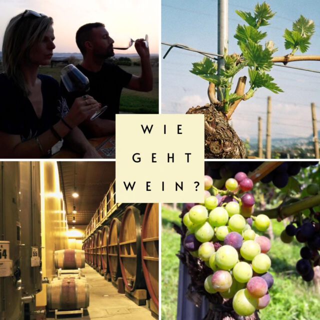 Weine verkosten und dabei "Wein lernen".

Eingepackt in viele unterhaltsame Weingeschichten kommen die Informationen daher. 

Über die spannende Entwicklung der Weinkultur, verschiedene Weinbaumethoden und Weinstile sowie natürlich die Rebsorten. 

Sechs, nicht nur Breisgauer Weine, werden zu Rate gezogen.

15.5.24 von 18:30 - 21:00 Uhr
29 € pro Person - plus 10 € Materialkosten
VHS Haus in Emmendingen

Anmeldung direkt bei VHS Link in BIO

#weinseminar #weinverkostung #weinlandbreisgau #vhs #breisgau #schwarzwald #weiterbildung #wissenmachtspass